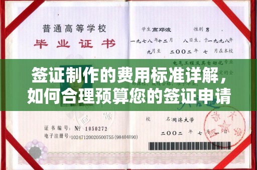 伽师签证制作的费用标准详解，如何合理预算您的签证申请成本